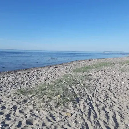 8 Person In Bogense-by Traum